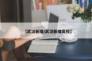 【武汉新增/武汉新增高校】
