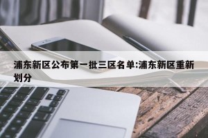 浦东新区公布第一批三区名单:浦东新区重新划分