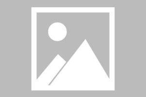 【2019小学生放寒假时间/2019年小学生放寒假的时间是什么时候】